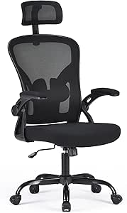 Farini Ergonomischer Stuhl mit Armlehne Büro Schreibtischstuhl mit Rollen Bequemer Home Office Stuhl, Schwarz