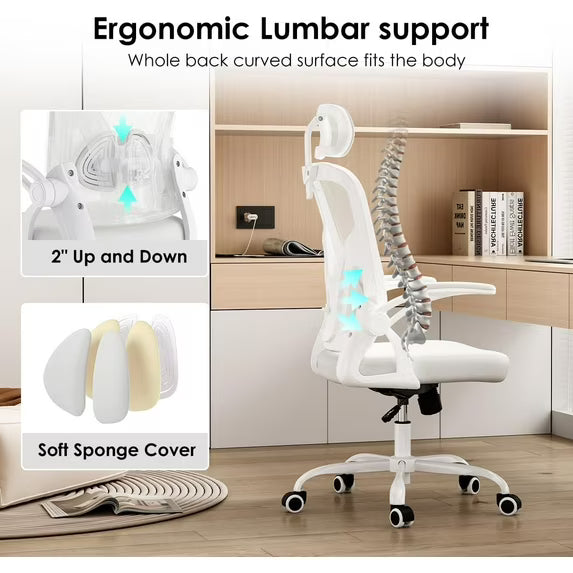 Farini Ergonomic Office Chair, Home Office Desk Chair with Headrest, High Back Computer Chair with Armrests and Adjustable Lumbar Support for Home Office Study Room, White & White